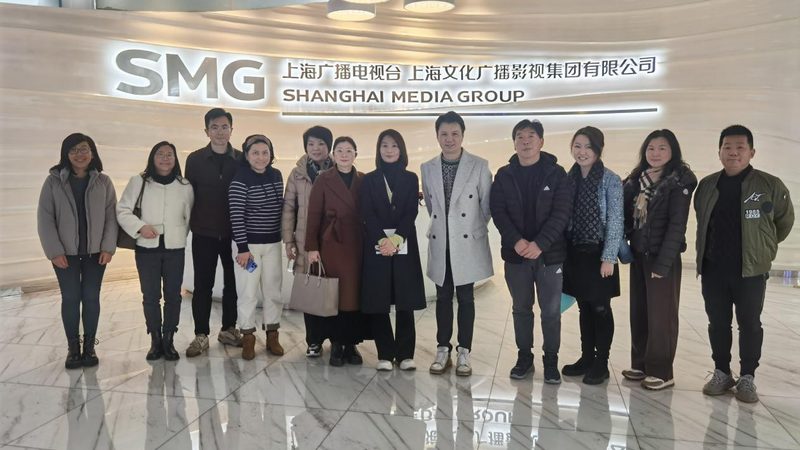 品牌设计流程哪家好