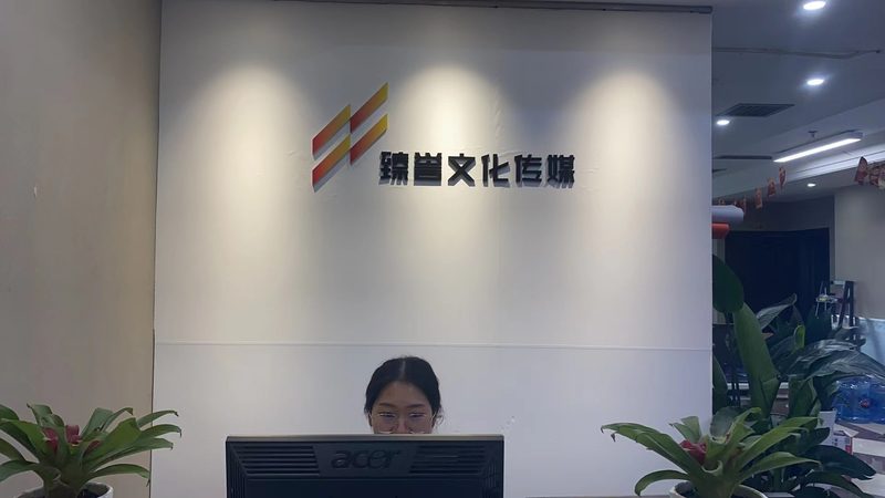 品牌设计代理报价明细：揭秘企业品牌形象塑造的幕后成本
