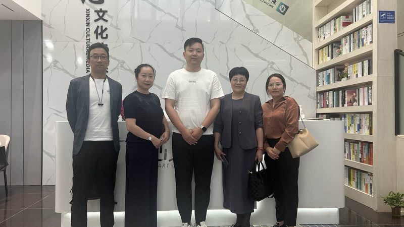 政府会议音响灯光：如何打造高效沟通的视听盛宴**