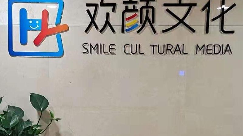 宣传片风格标准流程：打造品牌形象的秘密武器